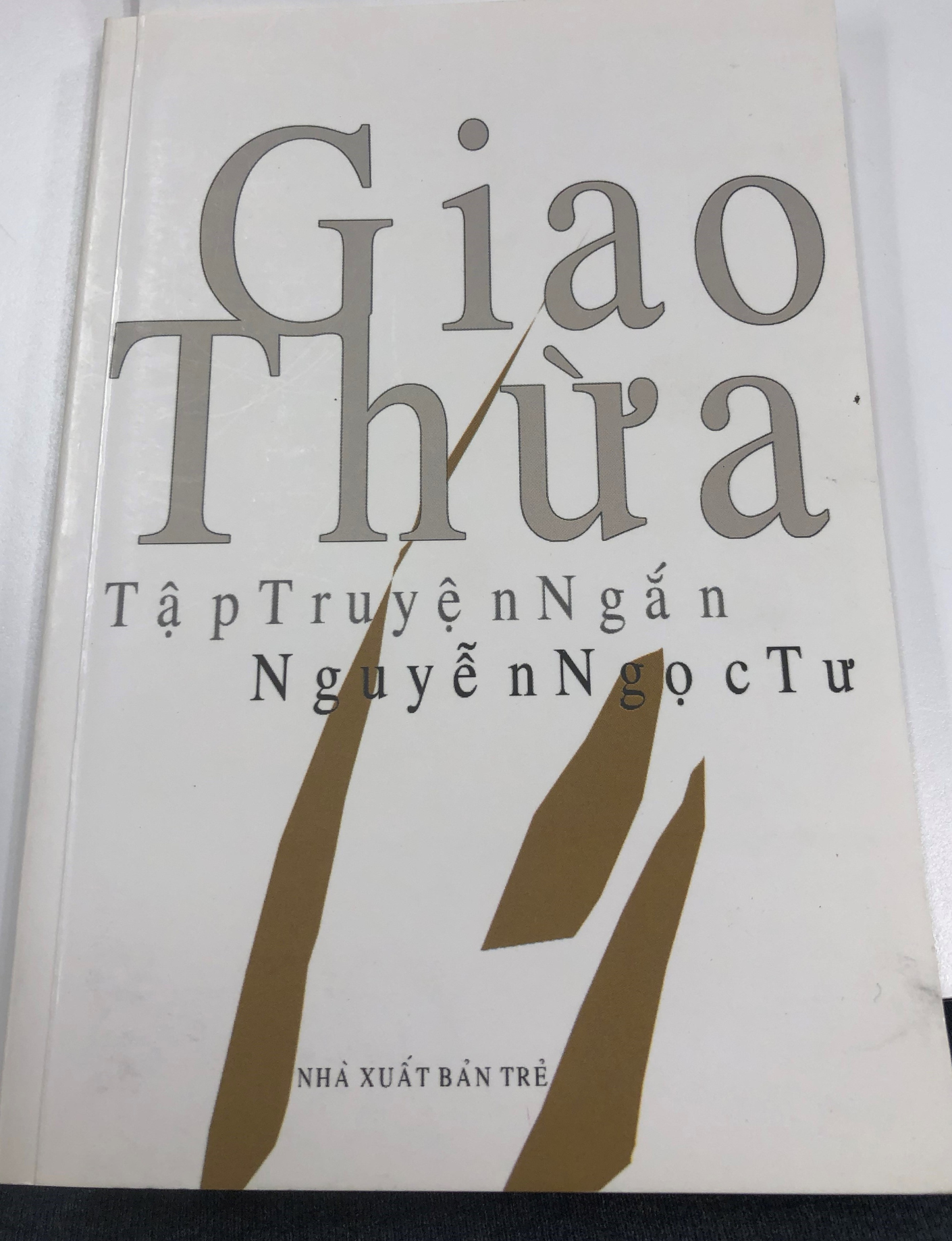 the cover of Giao Thừa: Tập Truyện Ngắn by Nguyễn Ngọc Tư, which loosely translates into English as New Year’s Eve: A Collection of Short Stories